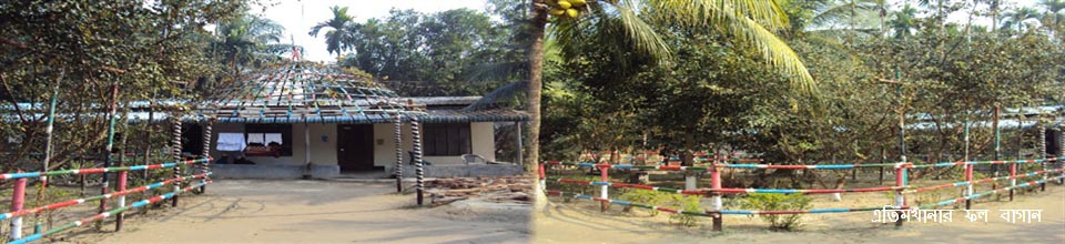 এতিমখানার ফল বাগান