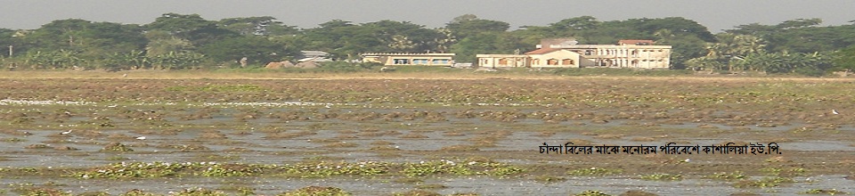 ১৫নং কাশালিয়া ইউনিয়ন পরিষদ