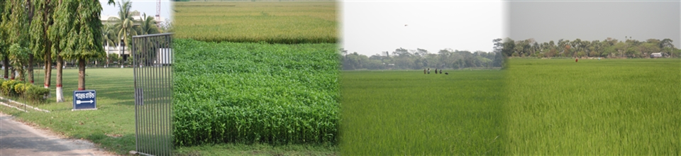 ১৫নং কাশালিয়া ইউনিয়ন পরিষদ