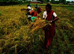 কৃষি ও প্রাণি সম্পদ