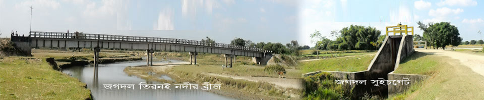 তিরনই নদী ও জগদল সুইচগেট,কাশিপুর