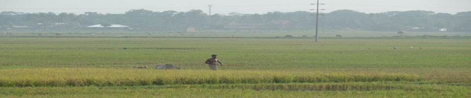 কৃষি ও খাদ্য বিষয়ক