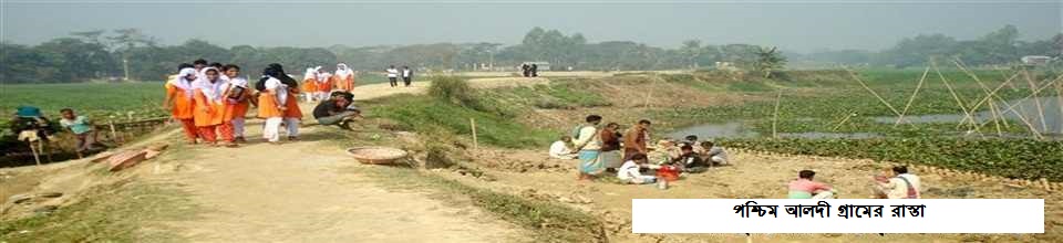 আলদী বাজারের পার্শ্বের রাস্তা