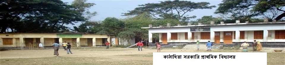 কাঠাদিয়া সরকারী প্রাথমিক বিদ্যালয়