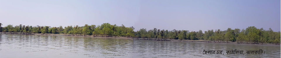 ছৈলার চর