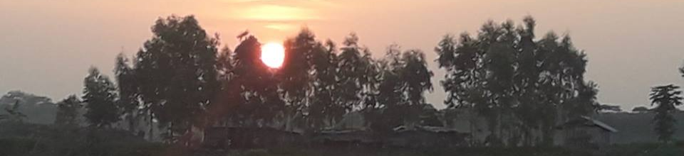 কাঠালিয়া অনন্যা