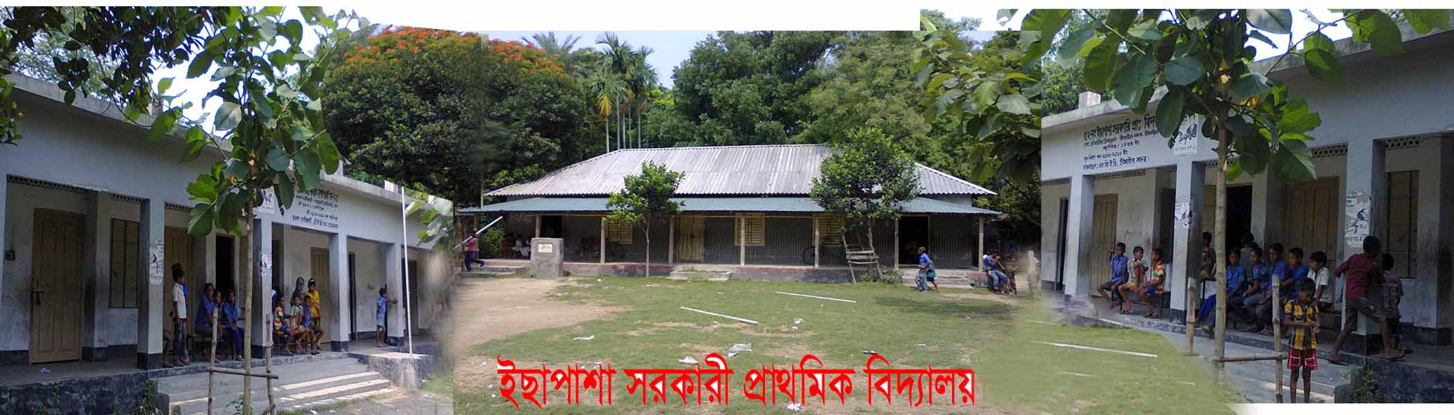 প্রাথমিক বিদ্যালয়
