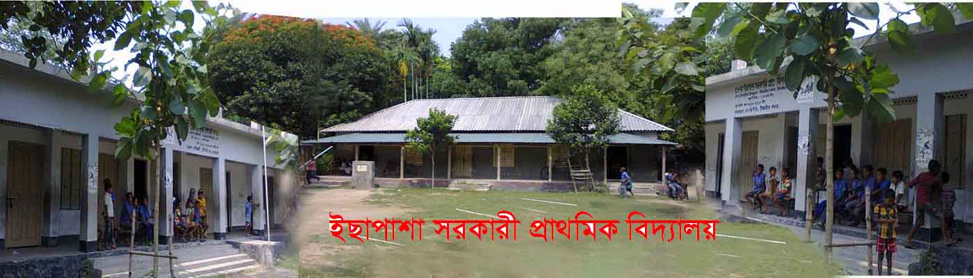 প্রাথমিক বিদ্যালয়