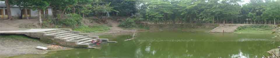 বাগবাড়ী চৌবাড়িয়া পুকুর