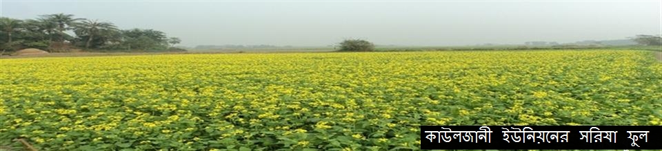 সরিষা ক্ষেত