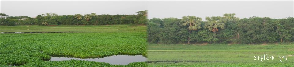 প্রাকৃতিক দৃশ্য