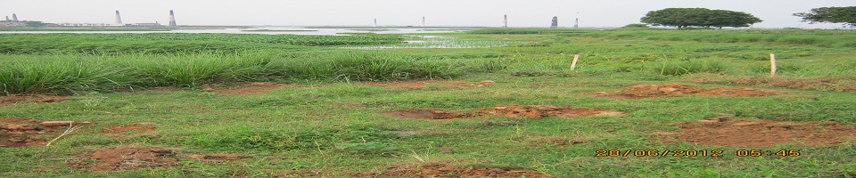 কাউন্দিয়া ইউনিয়ন পরিষদ