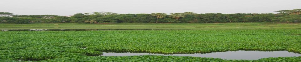 প্রাকৃতিক দৃশ্য