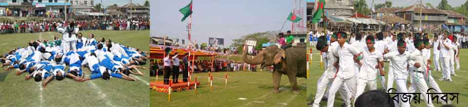 বিজয় দিবস উদজাপন