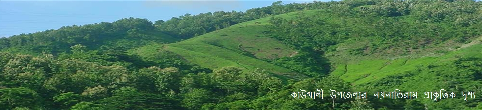 কাউখালী উপজেলার নয়নাভিরাম প্রাকৃতিক দৃশ্য