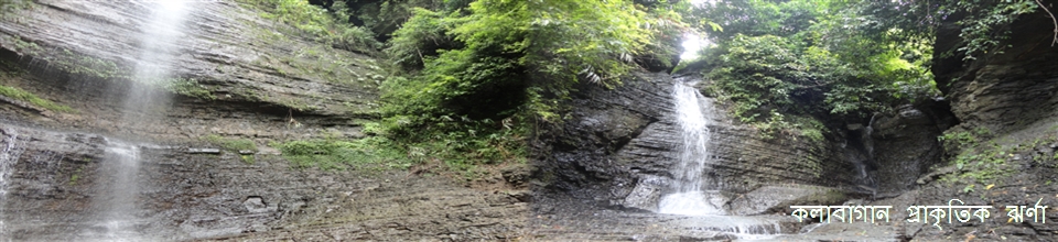 কলাবাগান প্রাকৃতিক ঝর্ণা