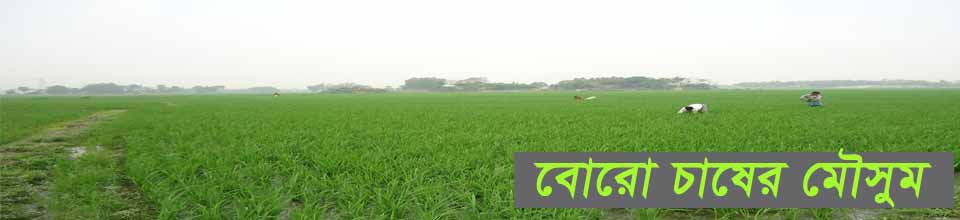 জনগণের দোড়গোড়ায় সেবা, কায়েতপাড়া ইউনিয়ন পরিষদ।