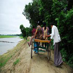 স্থানীয় সরকার প্রকৌশল