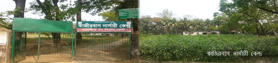 কাজিরবাগ সামাজিক বনবিভাগ
