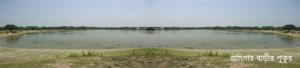 নওপাড়া জমিদার বাড়ীর পুকুর