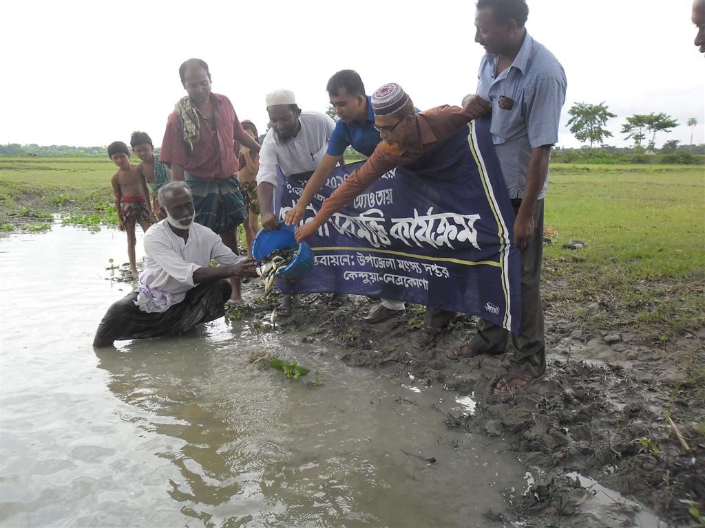 পোনা অবমুক্তি