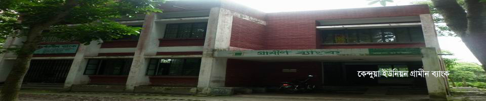 ব্যানার