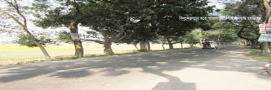 ব্যানার