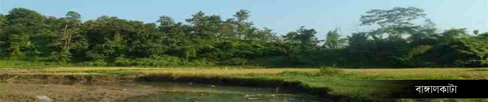 কেংড়াছড়ি ইউনিয়নের বাঙ্গালকাটা গ্রামে শুকনা মৌসুমের একটি ছবি।