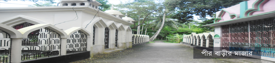 পীর বাড়ীর মাজার