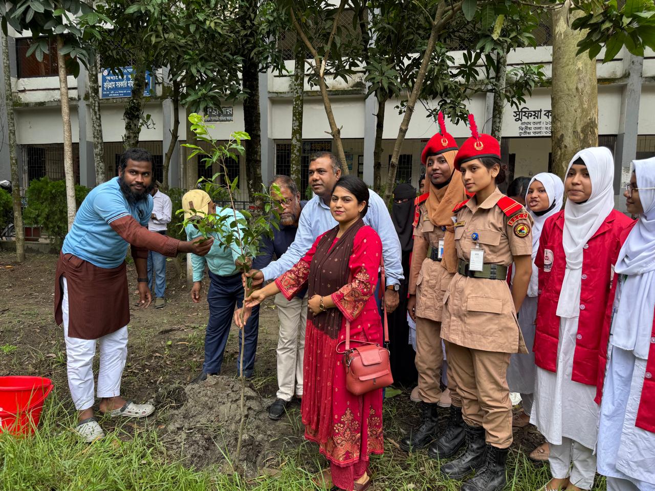Tree Plantation 2