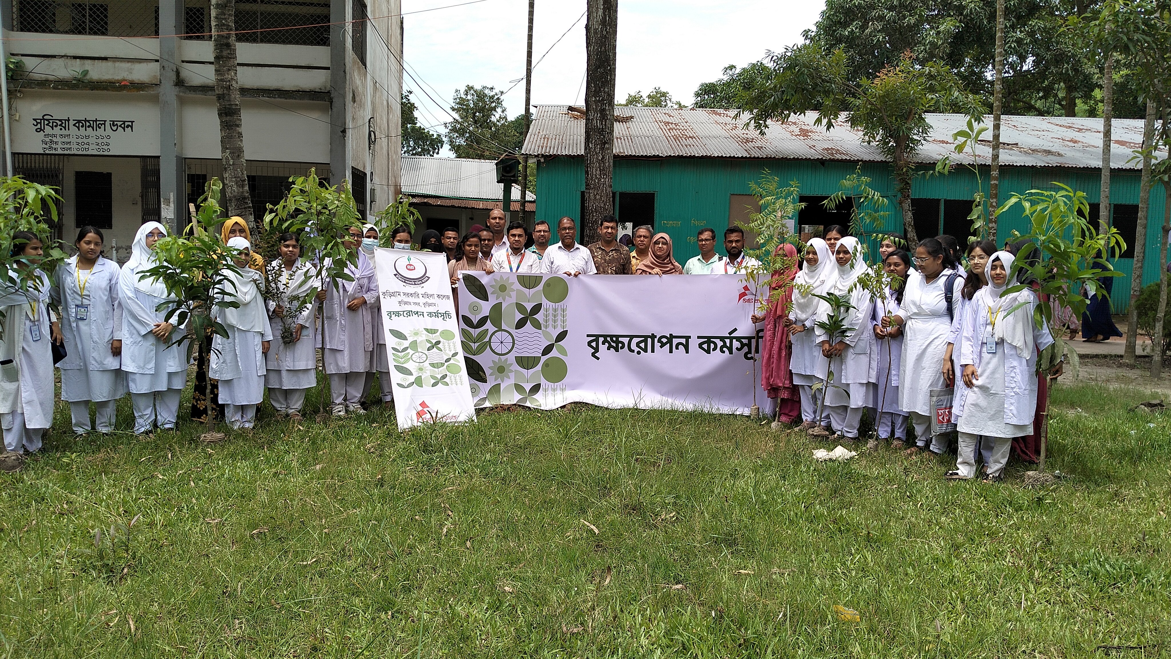 Tree Plantation 5