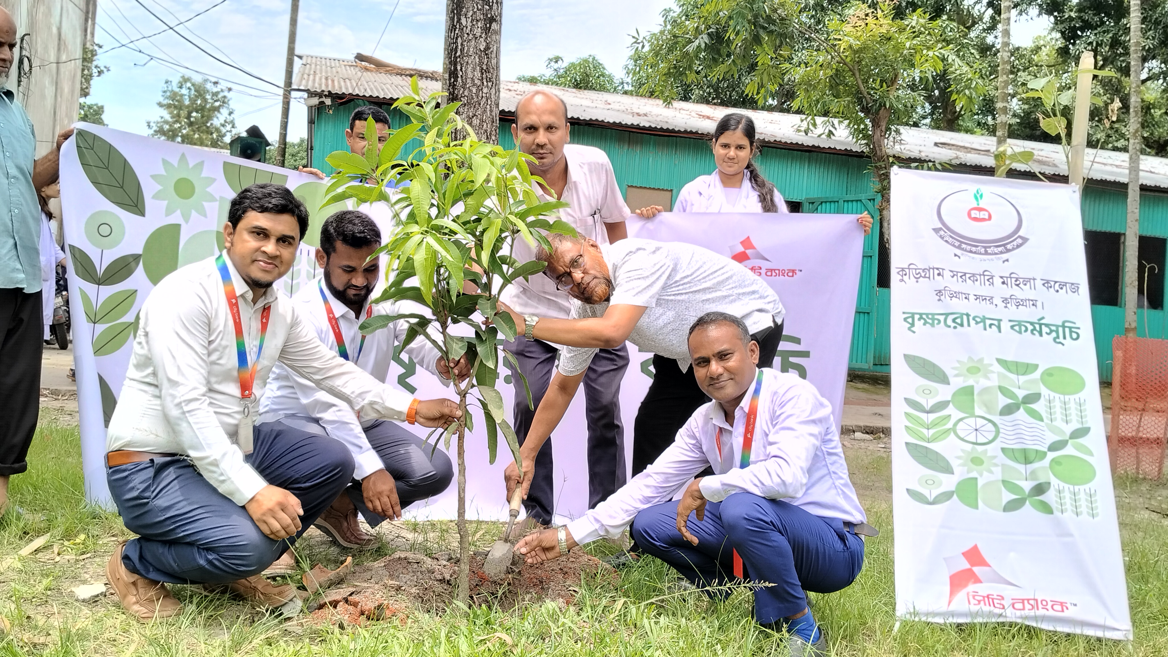 Tree Plantation 4