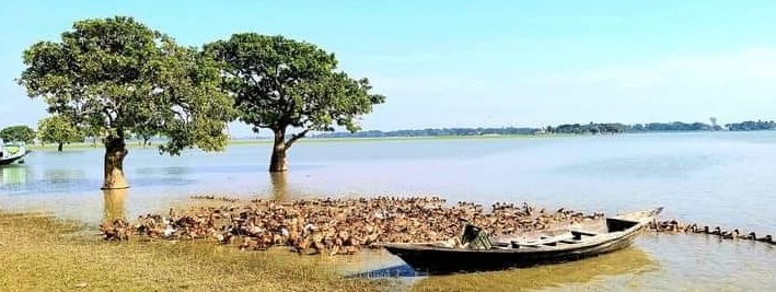 হোম | খালিয়াজুরী উপজেলা