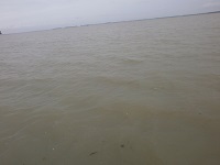 খালিয়াজুরী হাওর