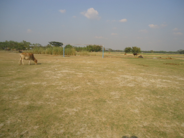 ৪নং খামারপাড়া ইউনিয়ন পরিষদ 