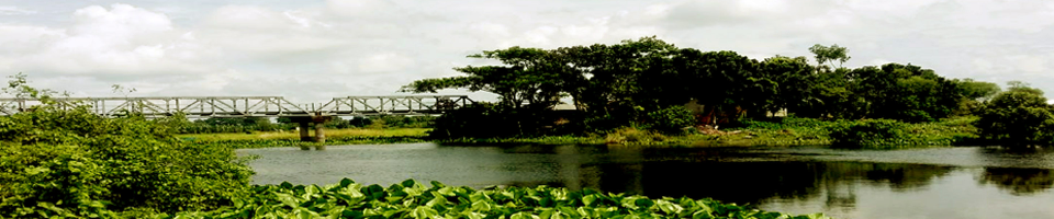 খান্দারপাড়া বাজার ব্রীজ