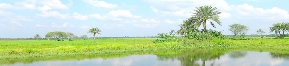 শরৎ এর আশ্চর্যজনক আকাশ