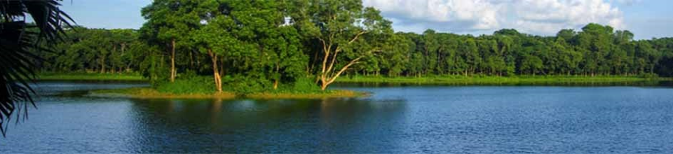 প্রাকৃতিক দৃশ্য