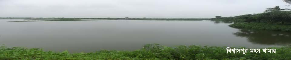 বিশ্বাসপুর মৎস খামার