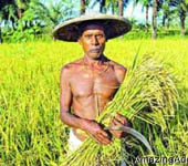 কৃষি ও প্রাণিসম্পদ