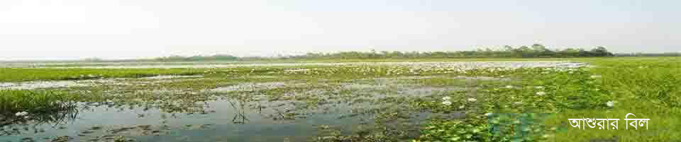 আশুরার বিল