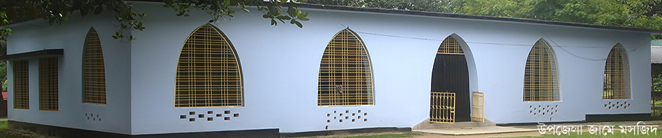 উপজেলা জামে মসজিদ