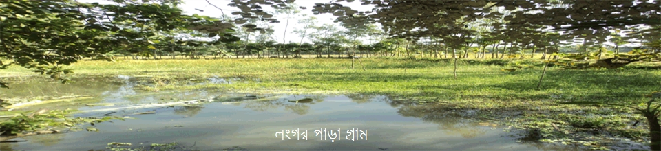 লংগর পাড়া গ্রাম