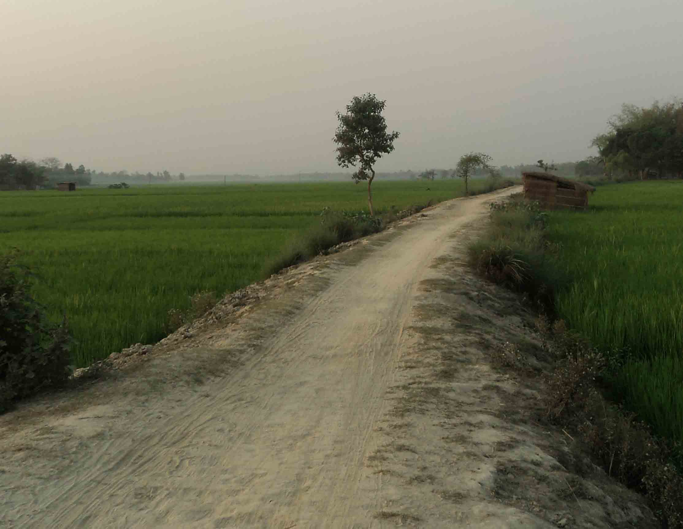বিবিধ