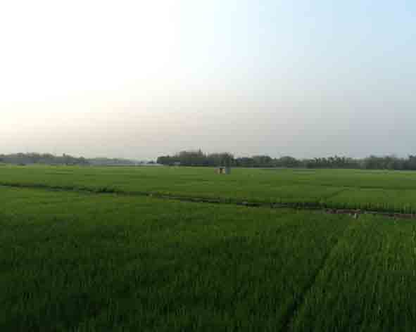 ভূমি অফিস