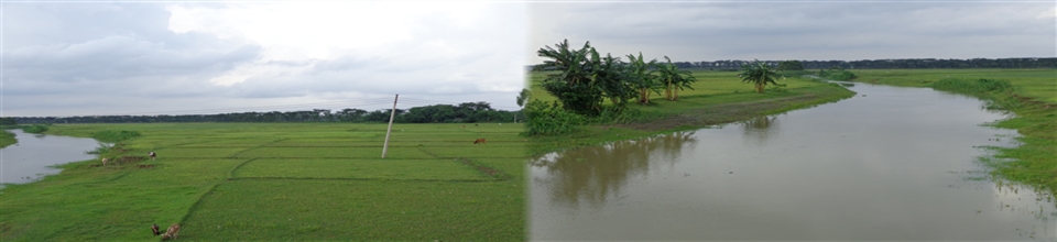 কাজির চর গ্রাম