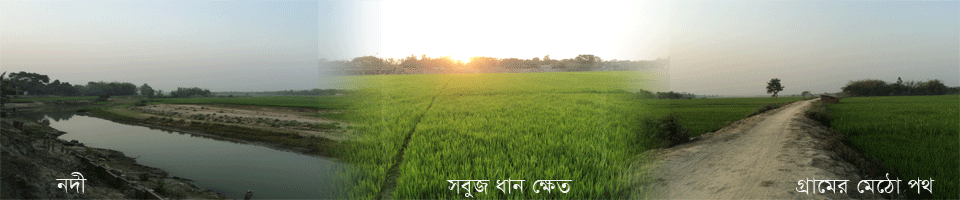 লংগর পাড়া গ্রাম।