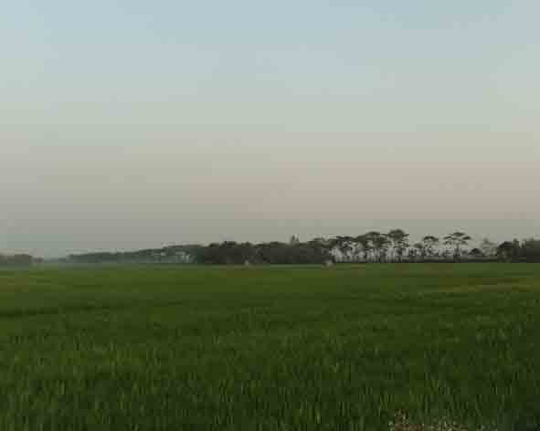 কৃষি ও প্রাণিসম্পদ
