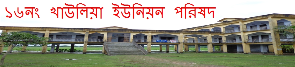 ১৬ নং খাউলিয়া ইউনিয়ন পরিষদ