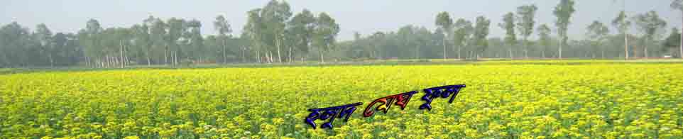 হলুদ মেঘ ফুল